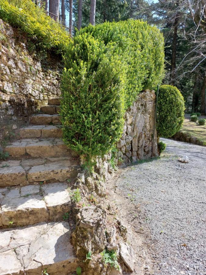 Villa Ghiron Torriglia Exterior foto
